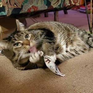 Meet your Posher, Emily